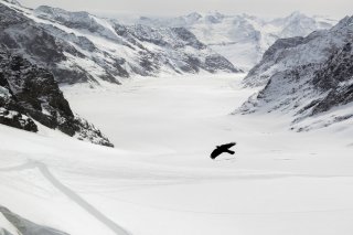 La neige qui recouvrait le grand glacier d'Aletsch cet hiver a déjà disparu (photo d'archives) KEYSTONE/PETER KLAUNZER